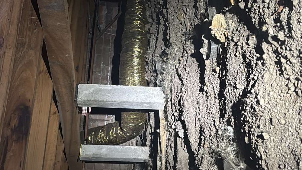 Building and Pest Inspections in Mickleham