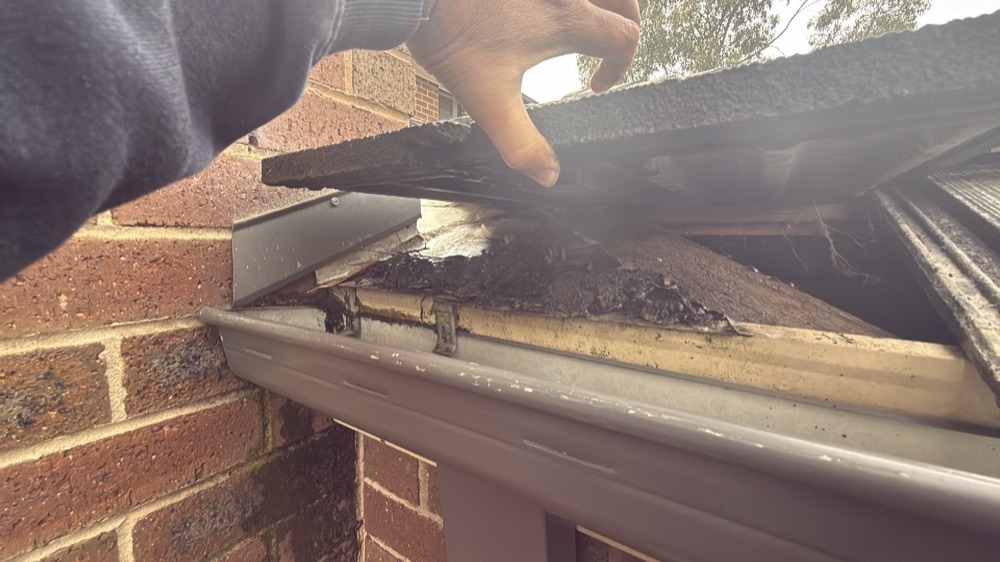 Defect Investigation Reports in Mickleham