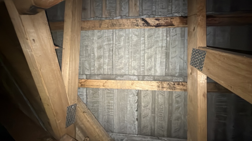Water tracking through the garage roof framing, found during a defect investigation in Mernda, 20 km from Mickleham