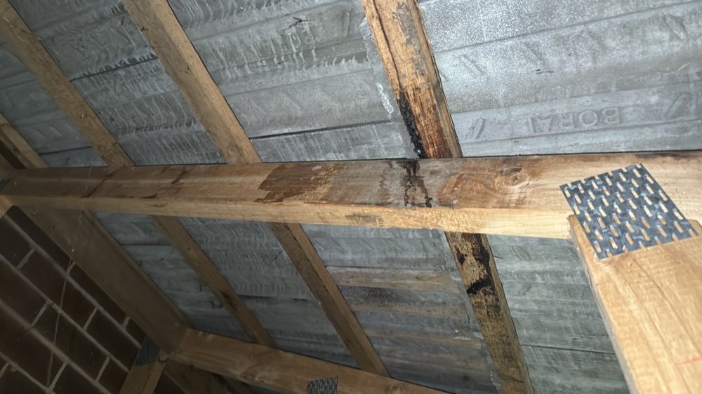 Accessible roof framing beneath the affected area showing water damage, found during a defect investigation in Mernda, 20 km from Mickleham