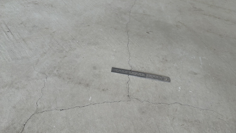 Recorded during a Mickleham inspection, Mickleham